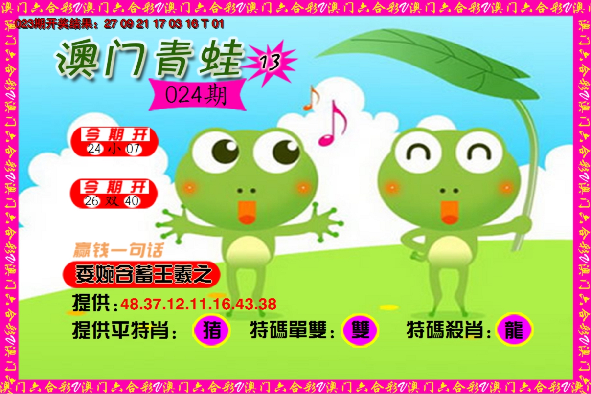2025024期青蛙系列13