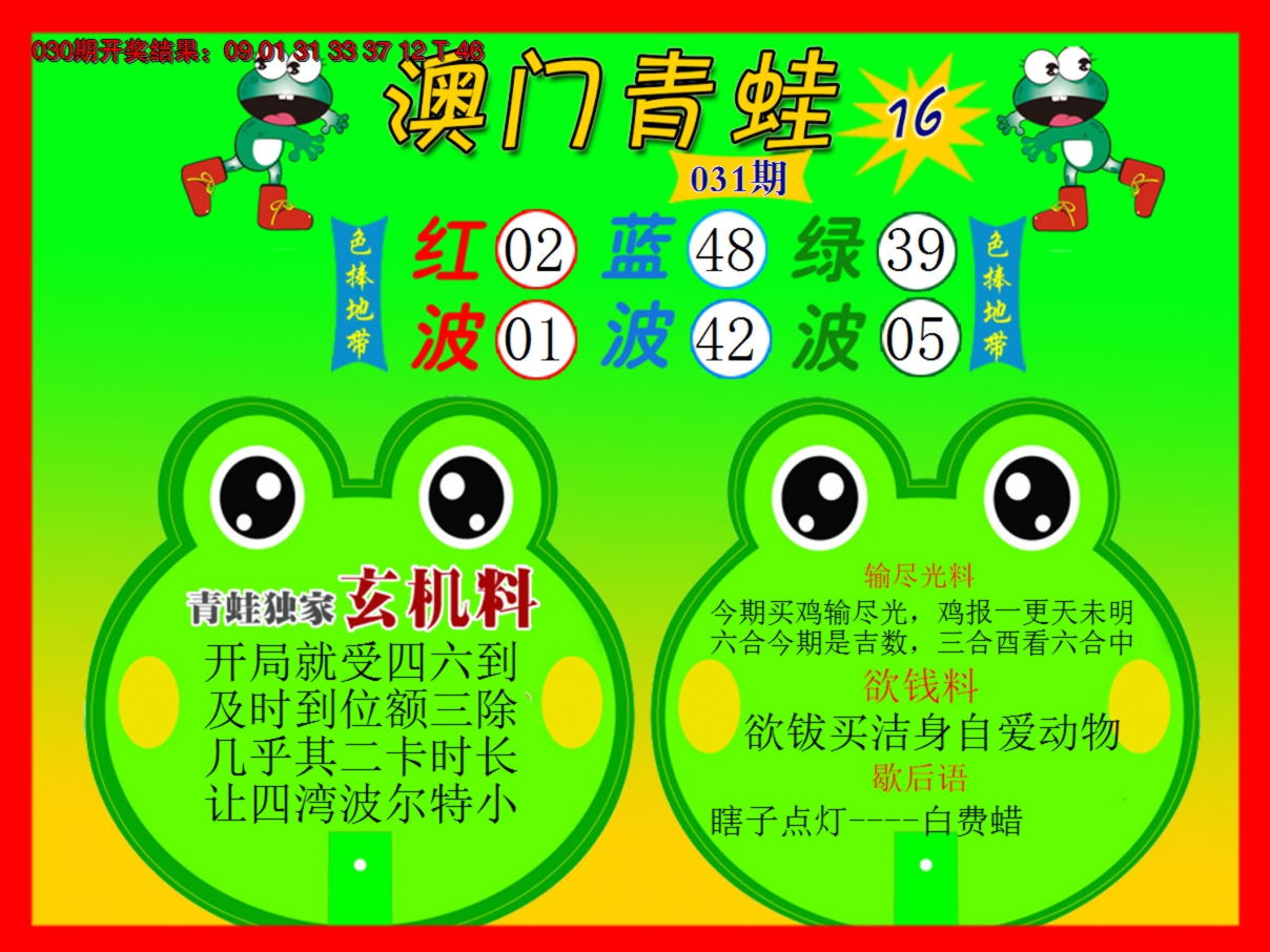 2025031期青蛙系列16
