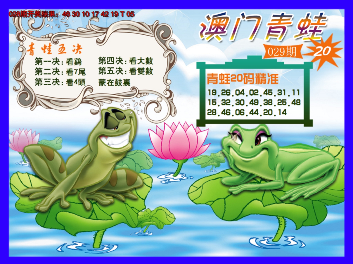 2025029期青蛙系列20
