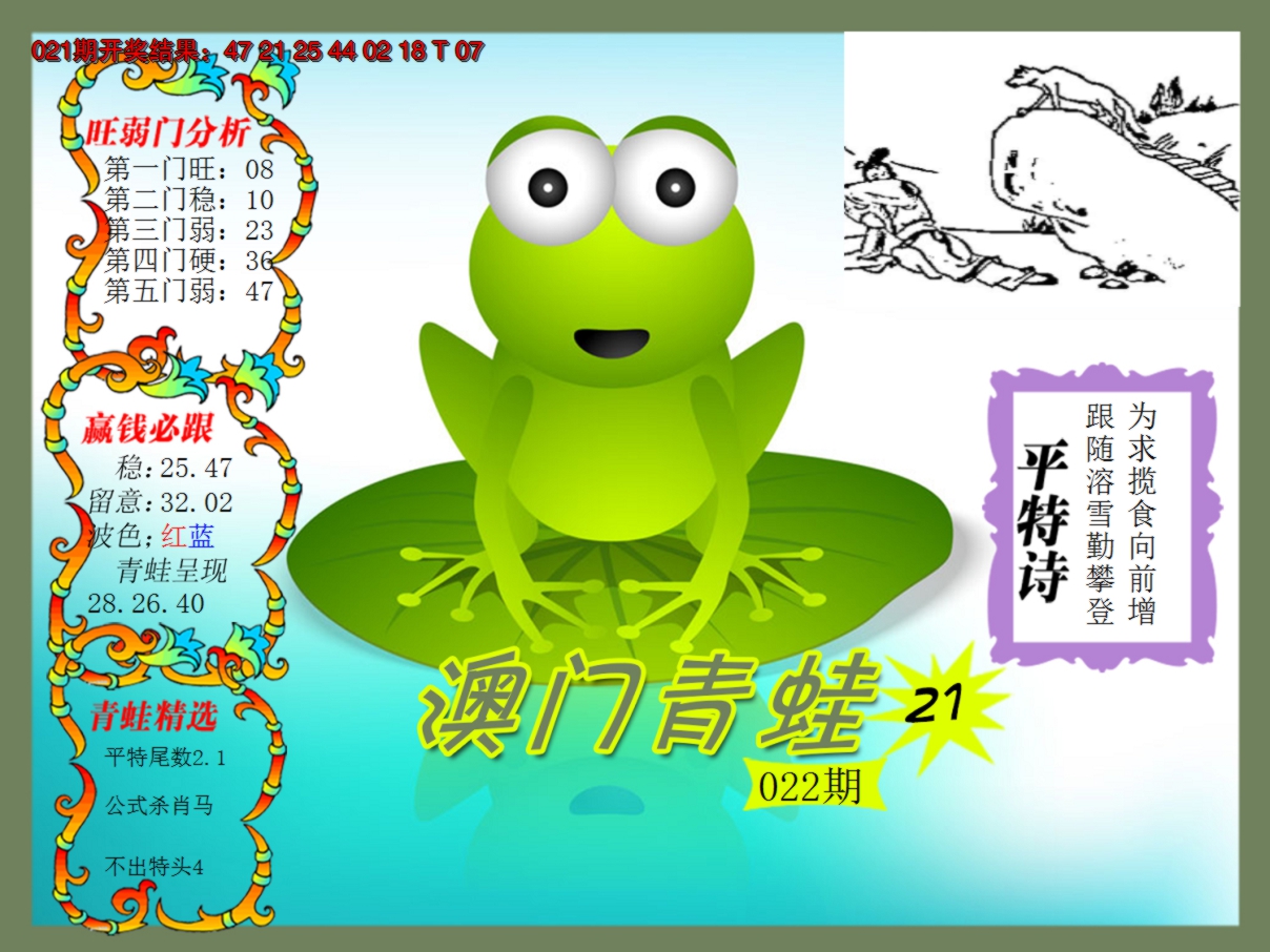2025022期青蛙系列21