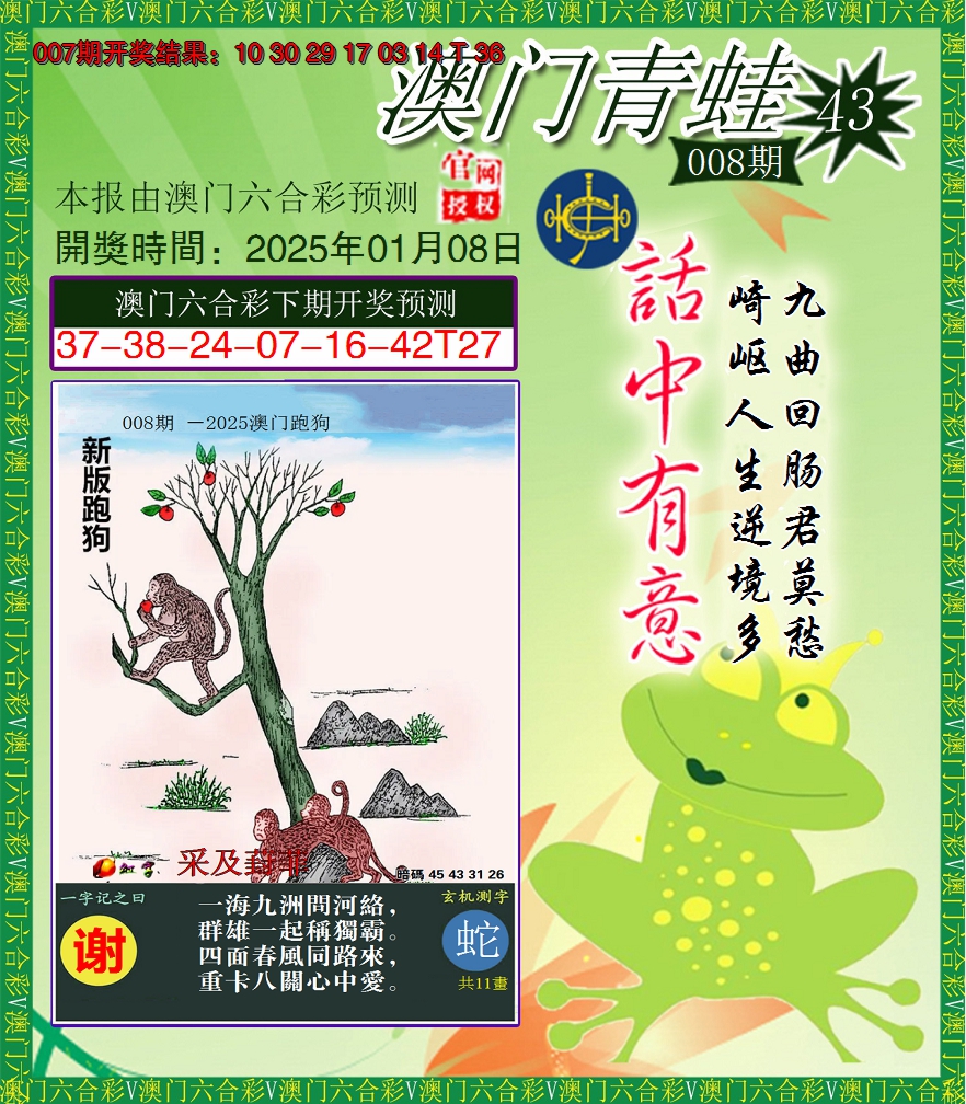 2025008期青蛙系列43