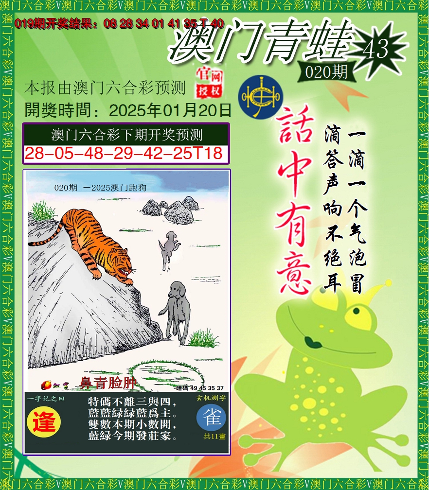 2025020期青蛙系列43