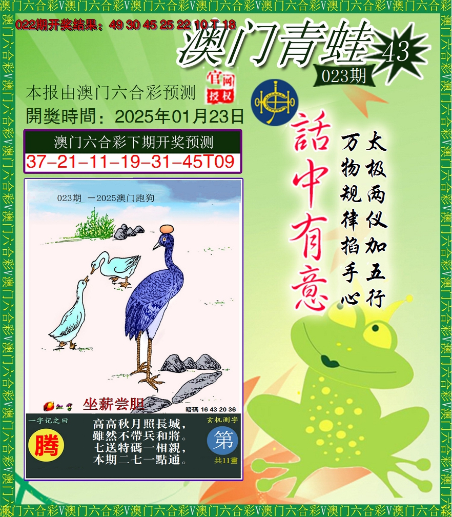 2025023期青蛙系列43