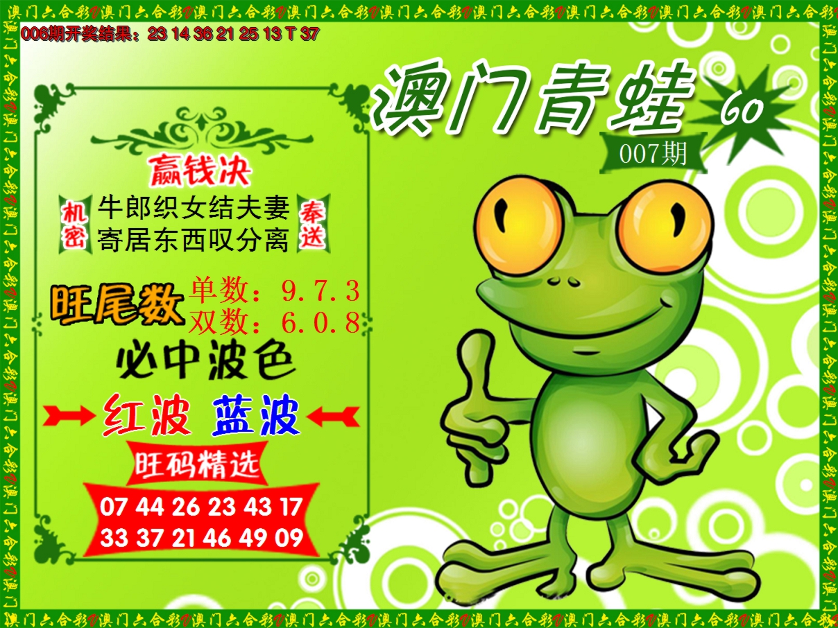 2025007期青蛙系列60