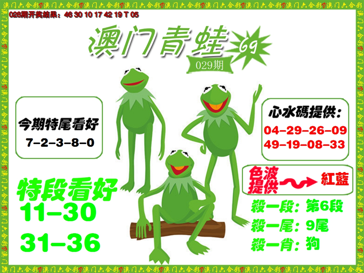 2025029期青蛙系列69