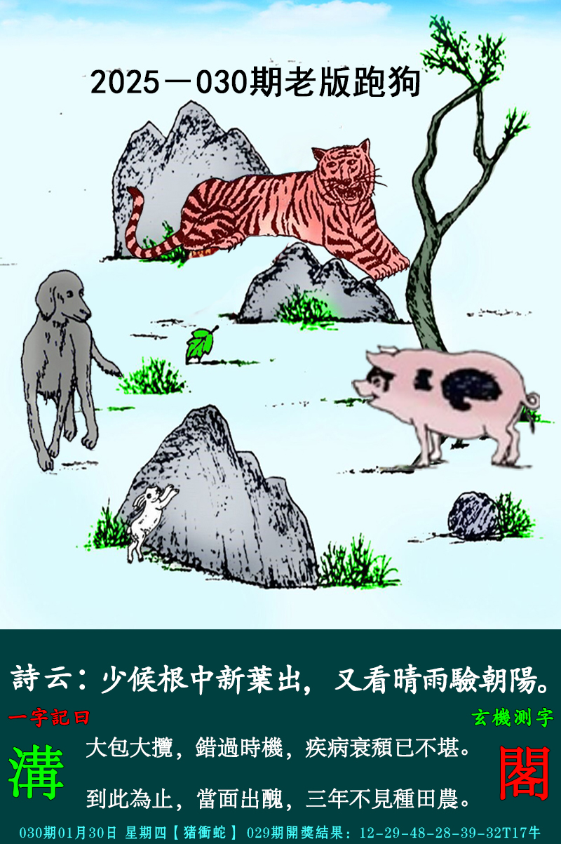 2025030期老跑狗图