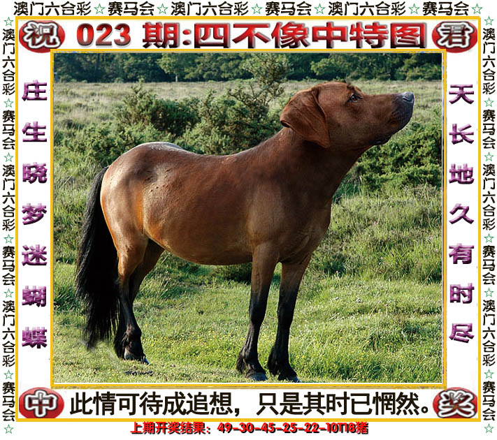 2025023期四不像中特图