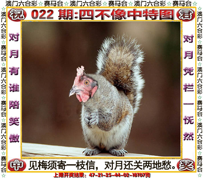 2025022期四不像中特图