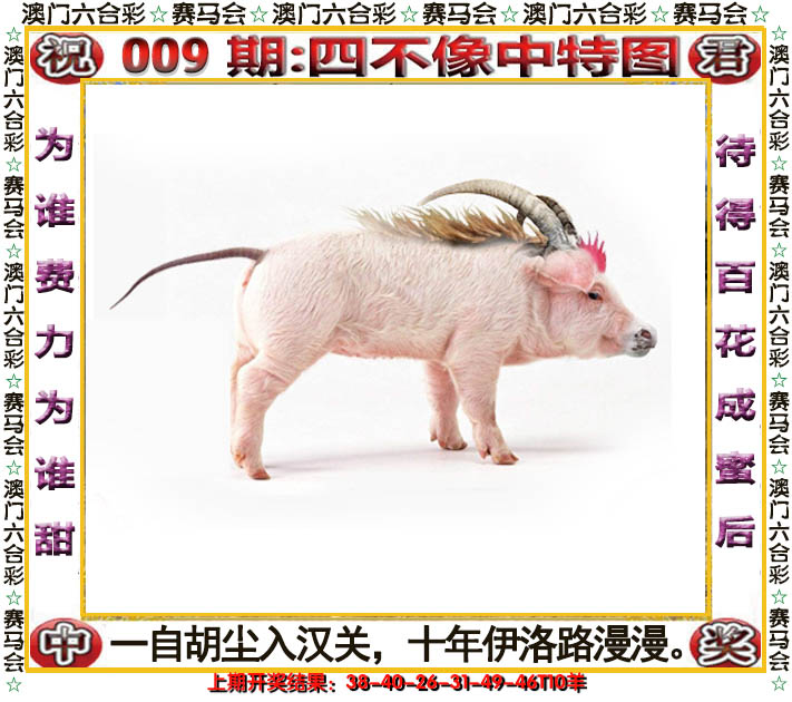 2025009期四不像中特图