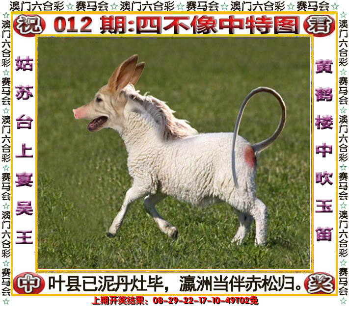 2025012期四不像中特图