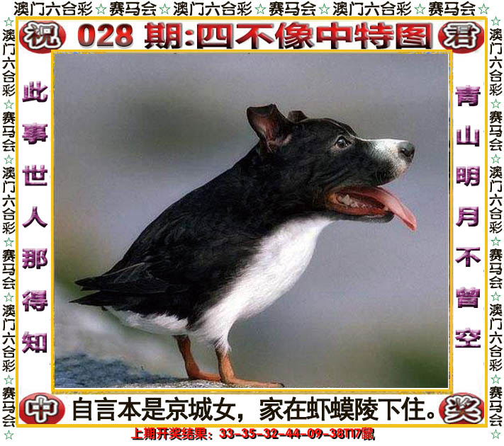 2025028期四不像中特图