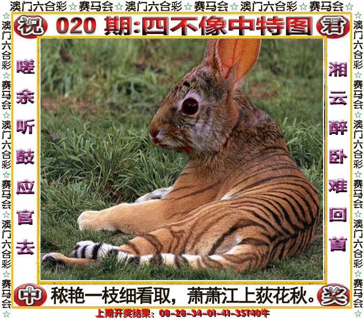 2025020期四不像中特图