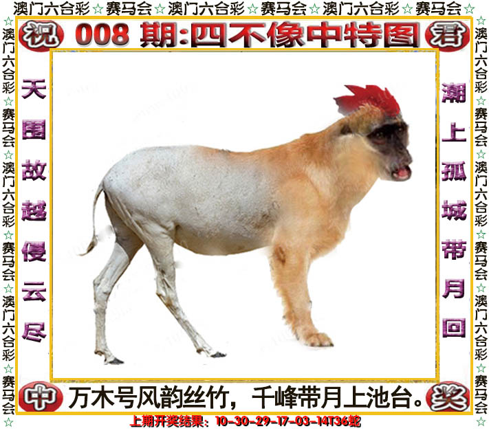 2025008期四不像中特图