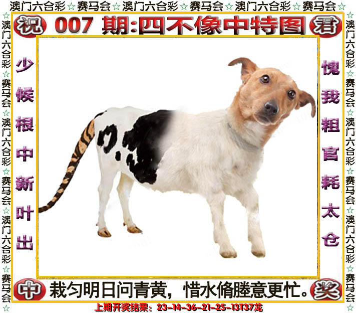 2025007期四不像中特图