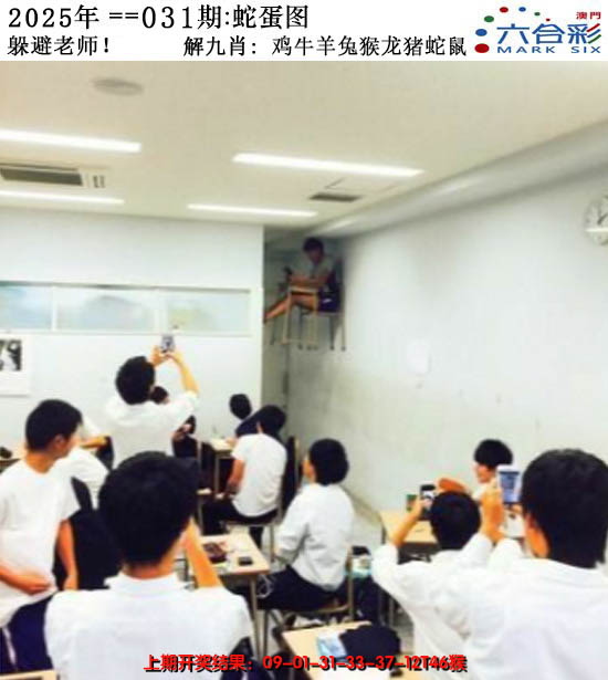 2025031期正版蛇蛋图