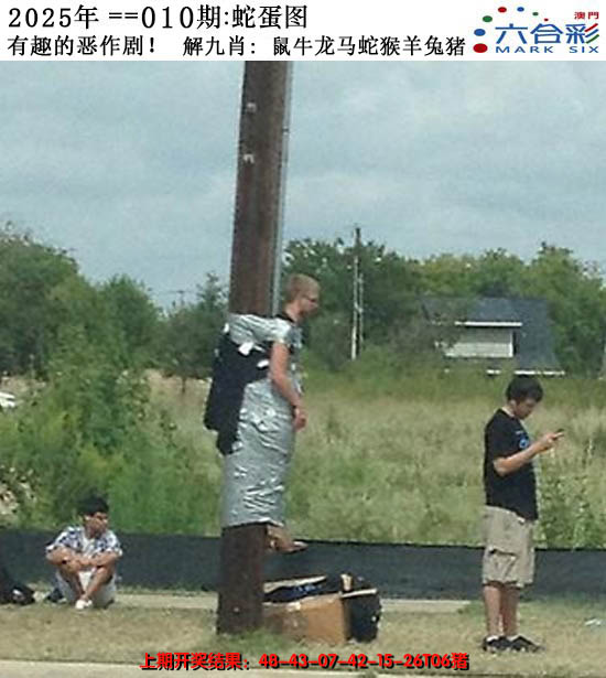 2025010期正版蛇蛋图