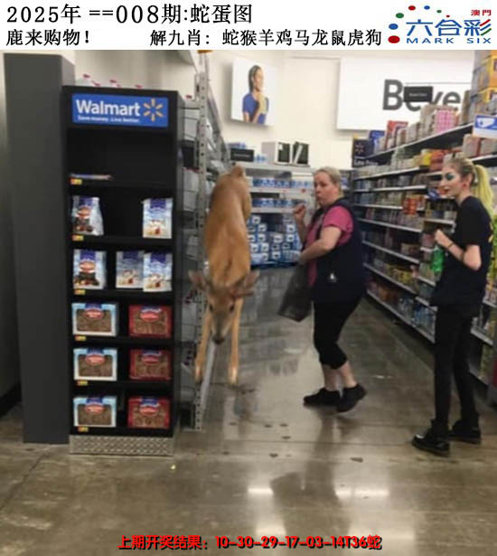 2025008期正版蛇蛋图