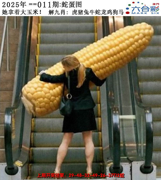 2025011期正版蛇蛋图