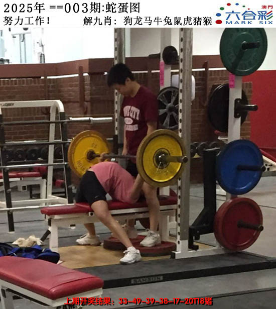 2025003期正版蛇蛋图