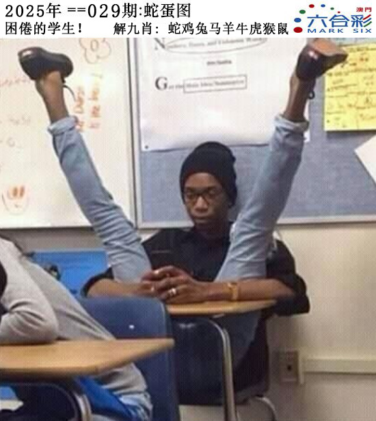 2025029期正版蛇蛋图