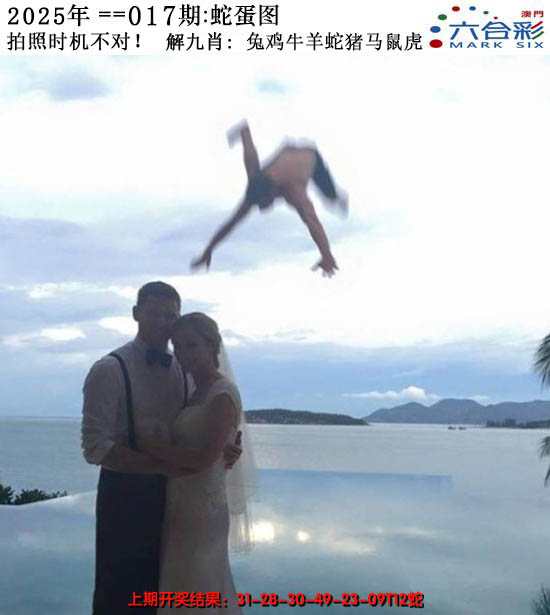 2025017期正版蛇蛋图