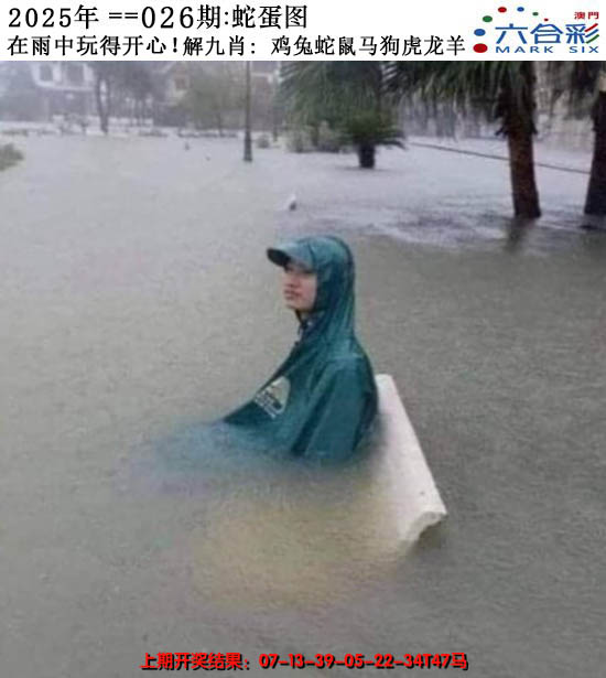 2025026期正版蛇蛋图