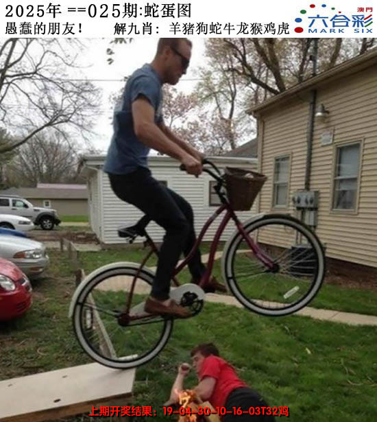 2025025期正版蛇蛋图