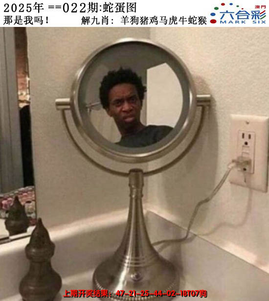 2025022期正版蛇蛋图