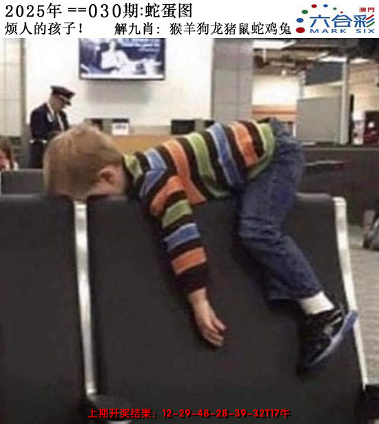 2025030期正版蛇蛋图