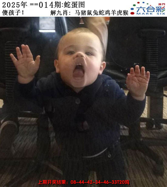 2025014期正版蛇蛋图