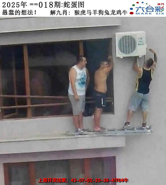2025018期正版蛇蛋图