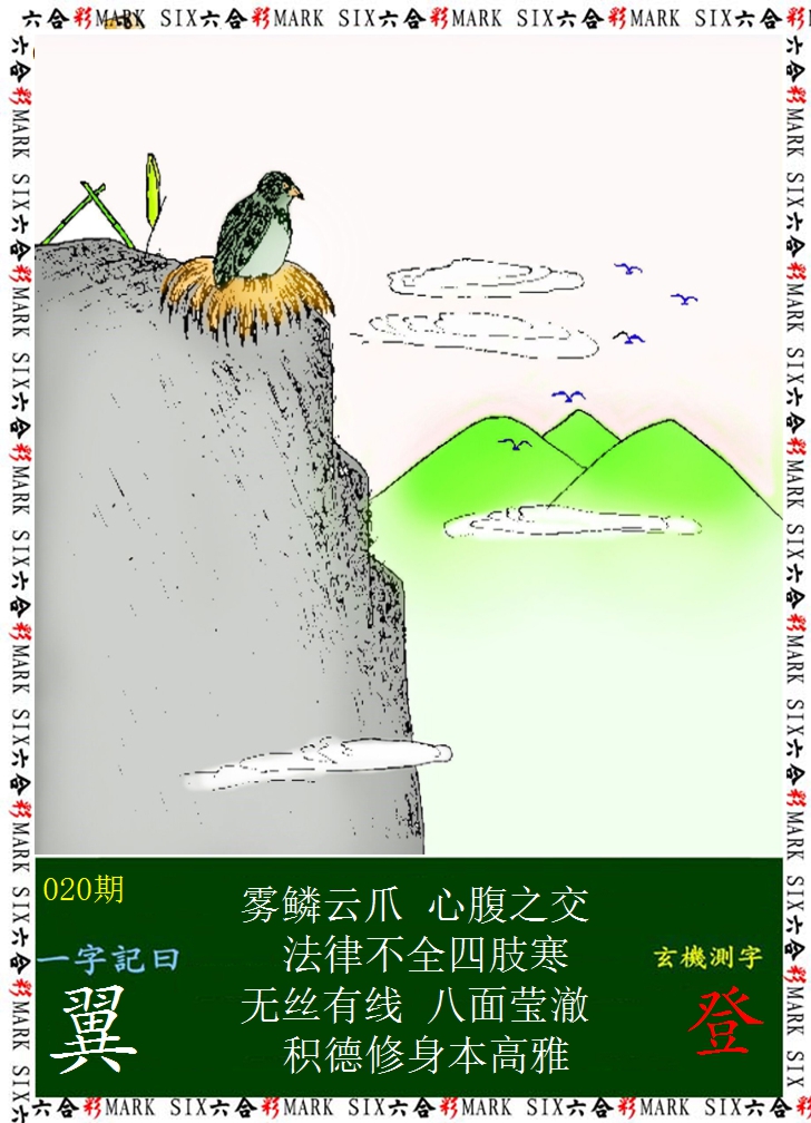2025020期悟入其图