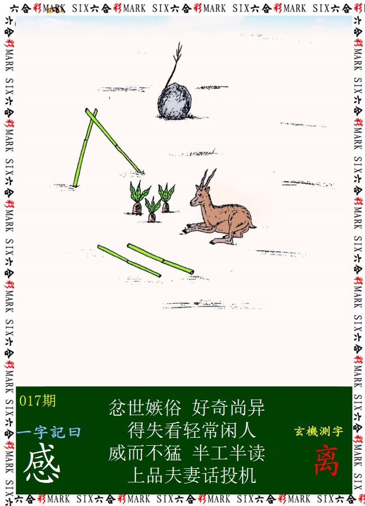 2025017期悟入其图