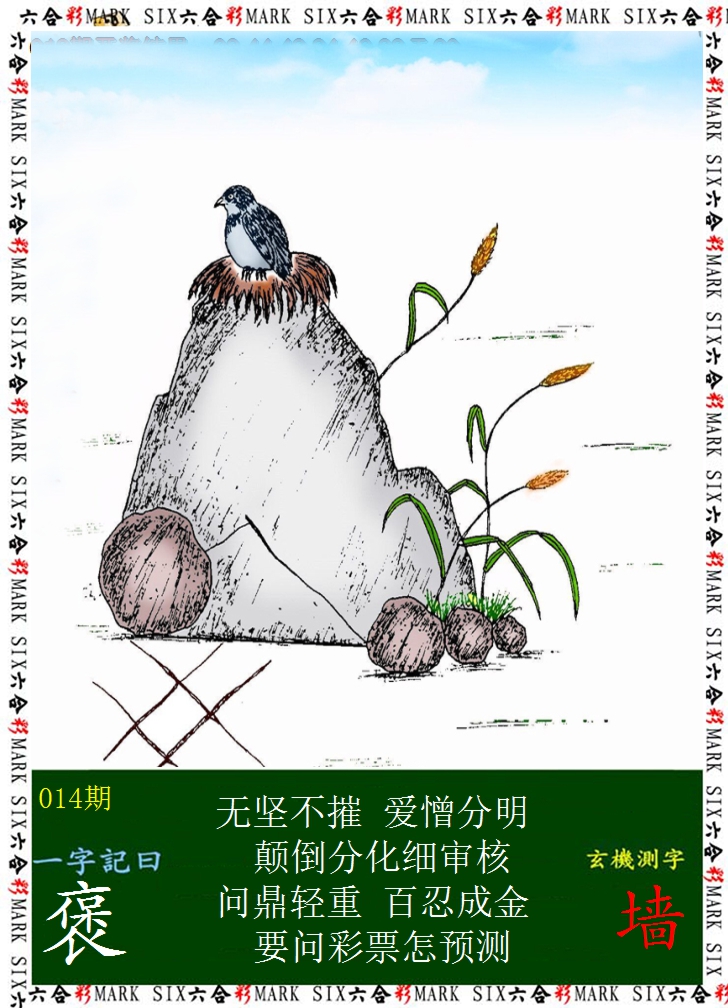 2025014期悟入其图