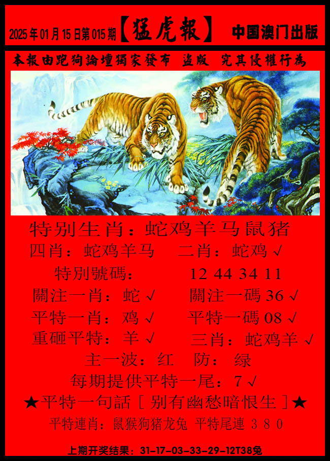 2025015期猛虎报B