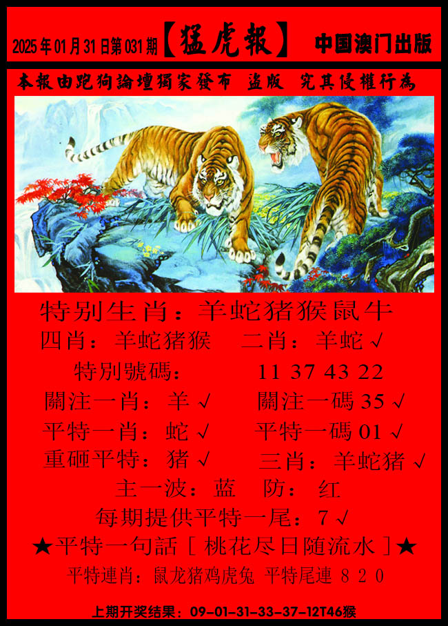 2025031期猛虎报B