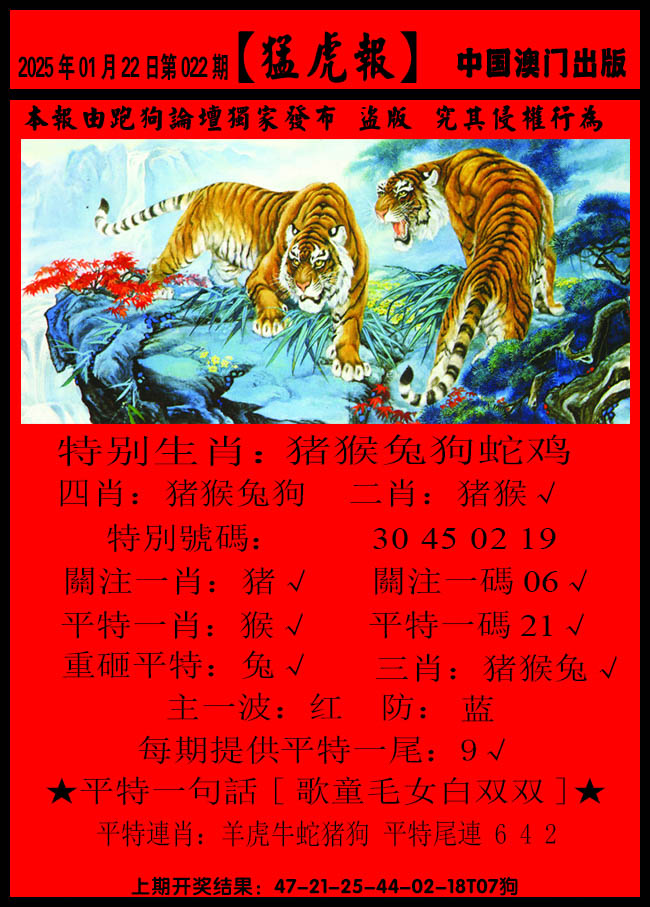 2025022期猛虎报B