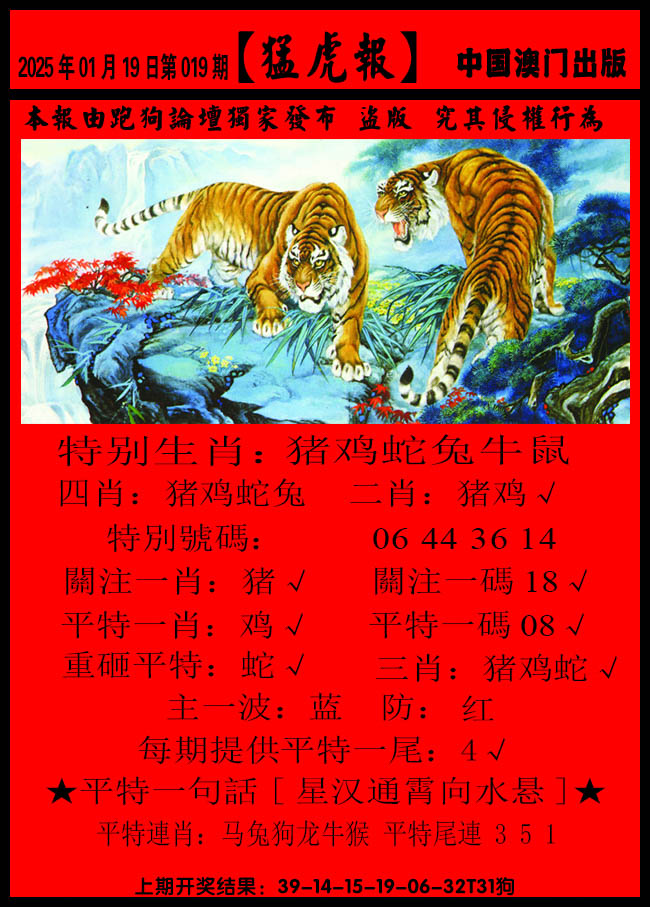 2025019期猛虎报B