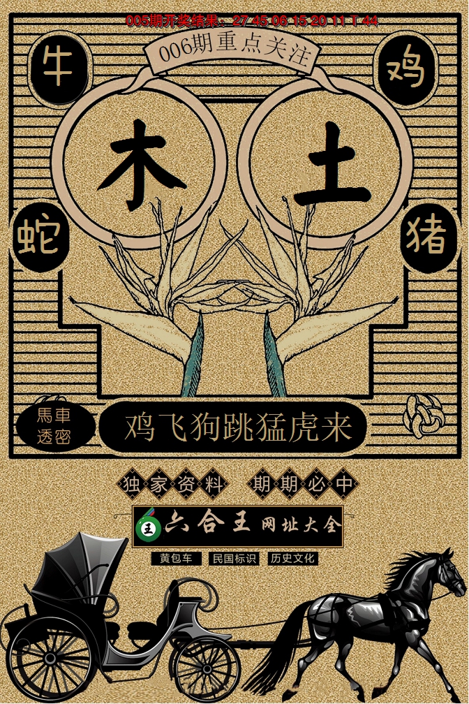 2025006期六合王马车透密