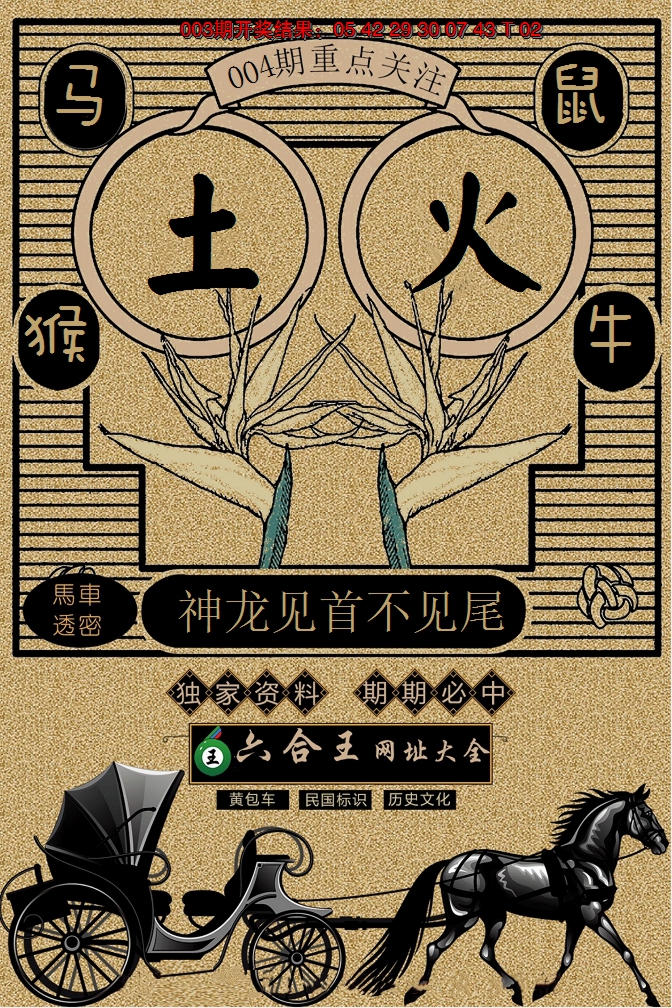 2025004期六合王马车透密