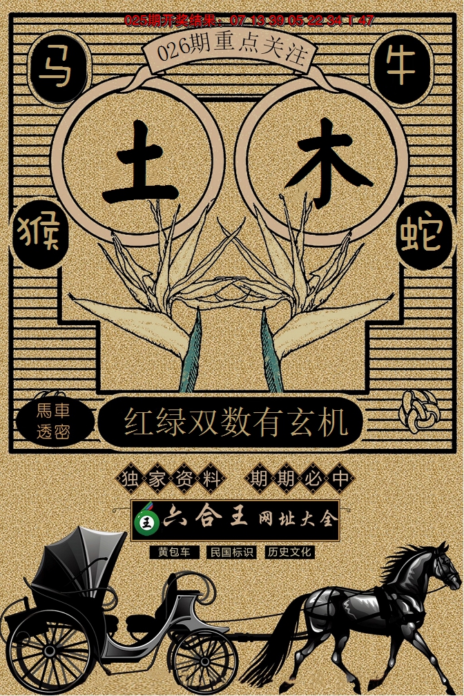 2025026期六合王马车透密