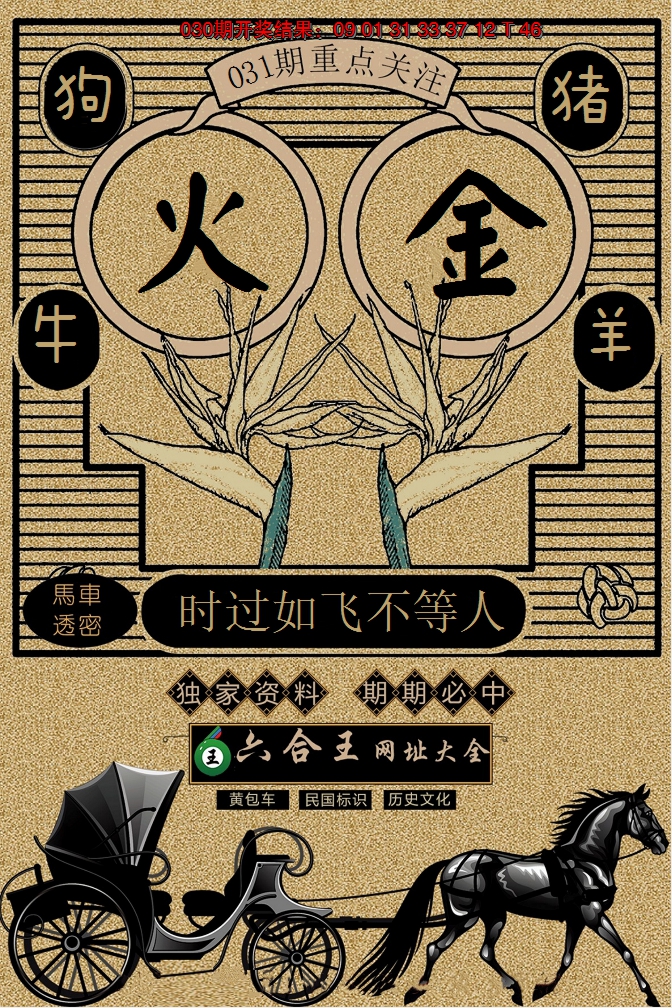2025031期六合王马车透密