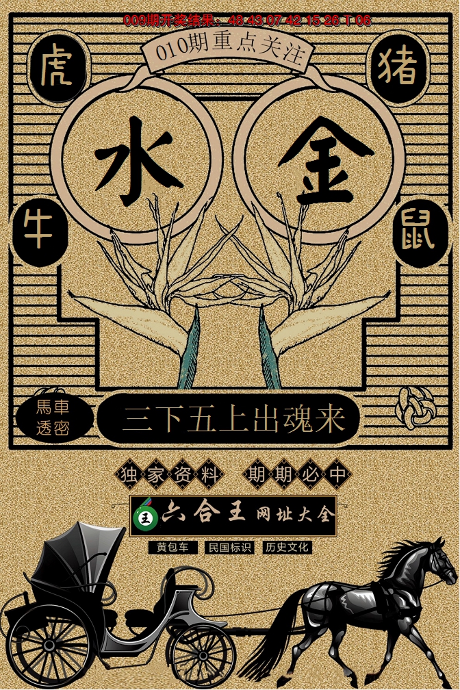 2025010期六合王马车透密