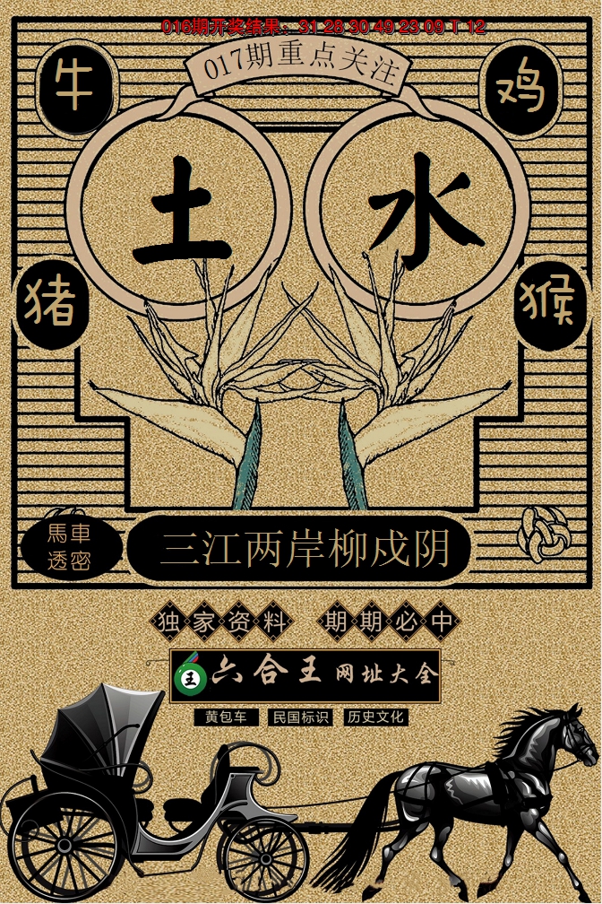 2025017期六合王马车透密