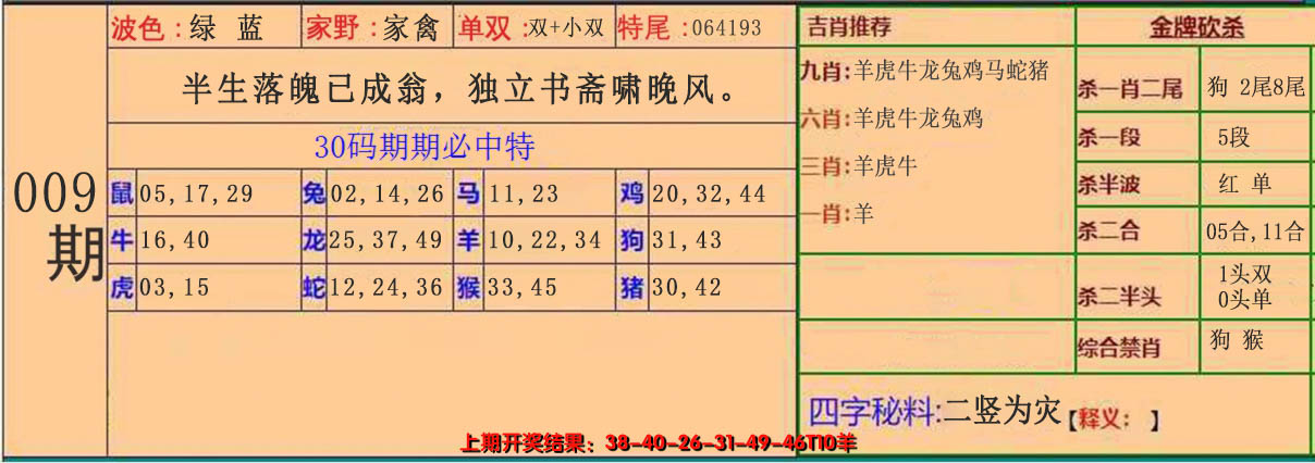 2025009期30码中特