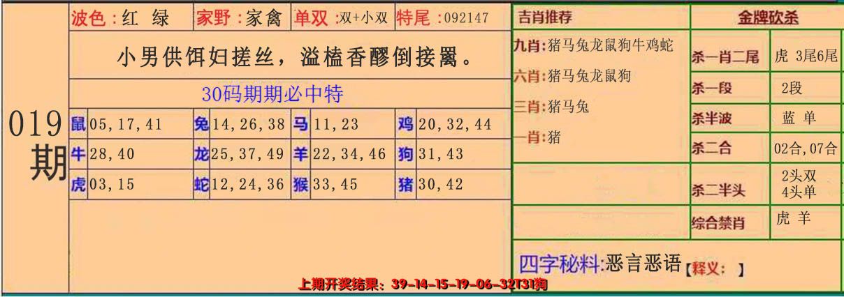 2025019期30码中特