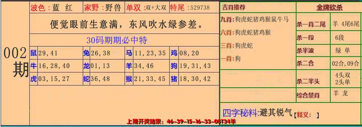 2025002期30码中特
