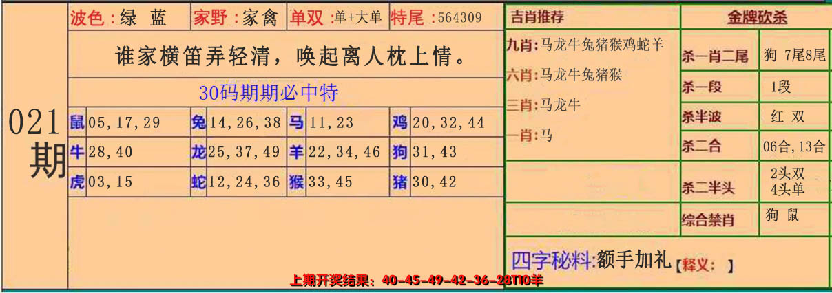 2025021期30码中特