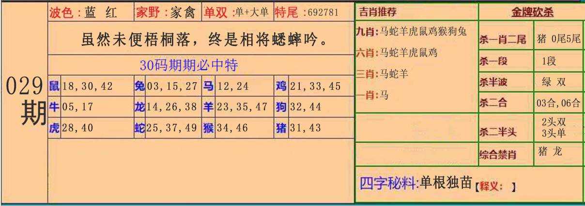 2025029期30码中特