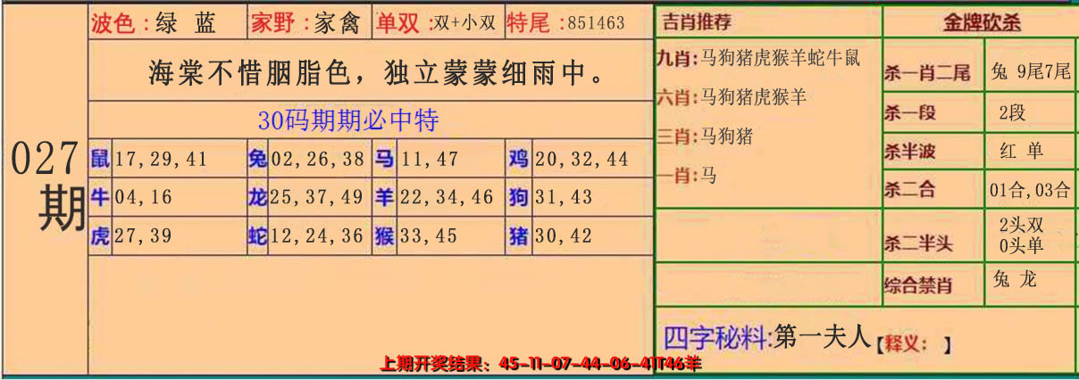 2025027期30码中特